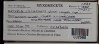 Image Associated With the Occurence